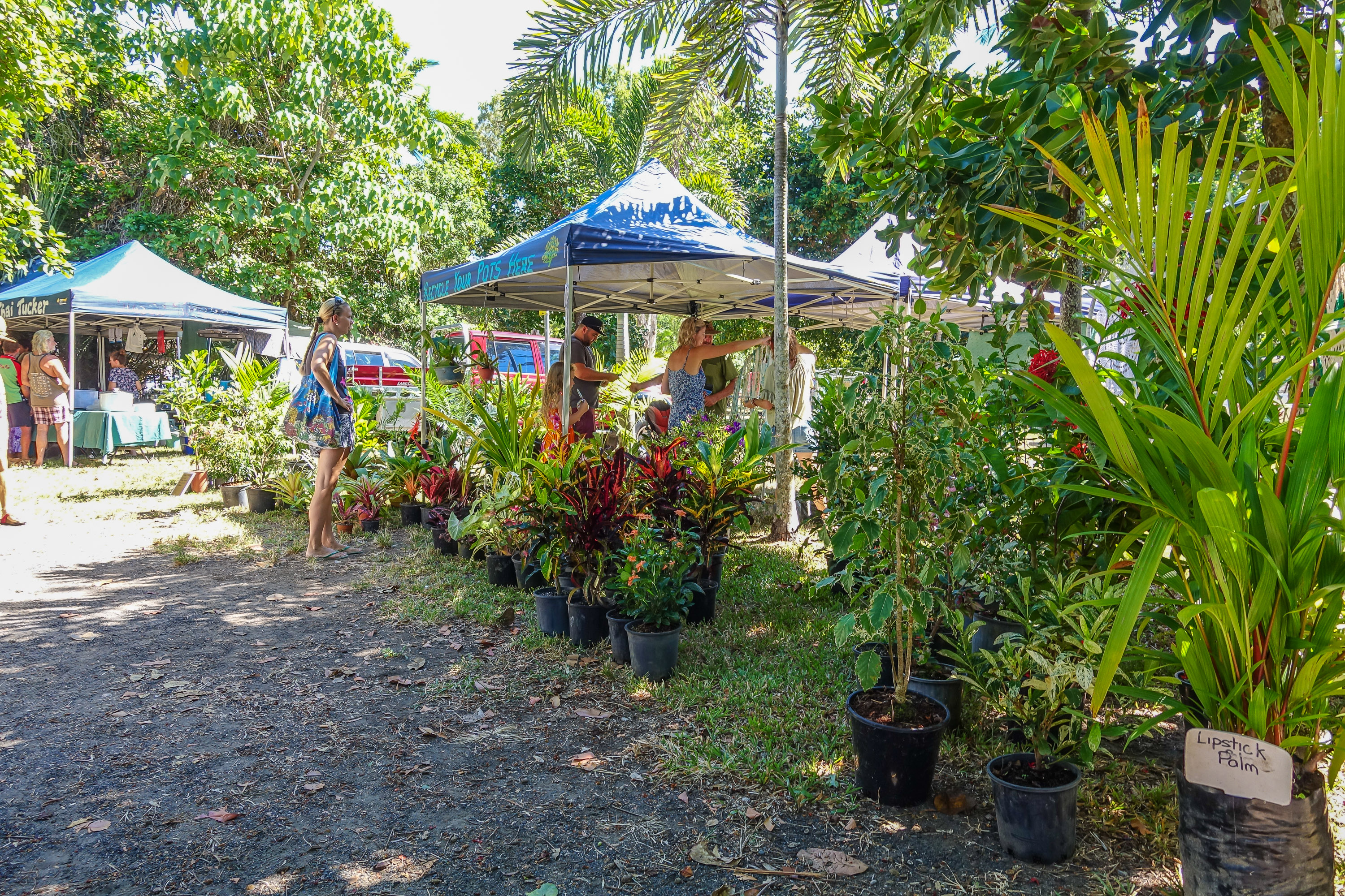 mission-beach-markets-30