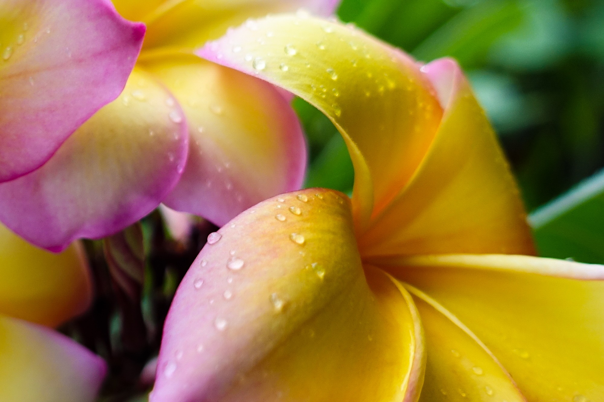 usui-reiki-mission-beach-2