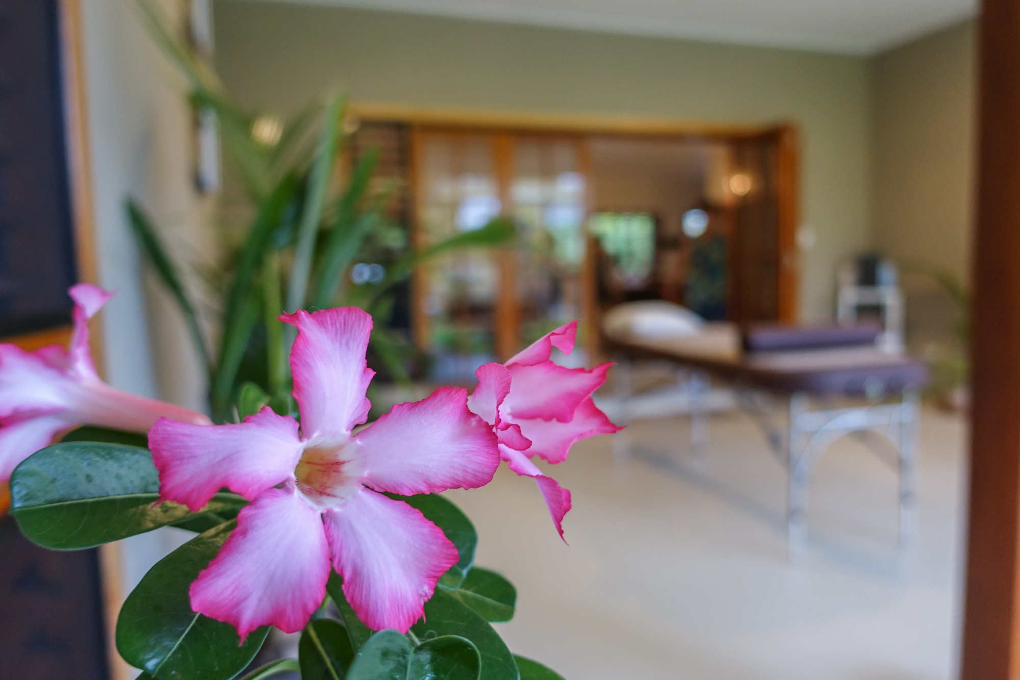 usui-reiki-mission-beach-7